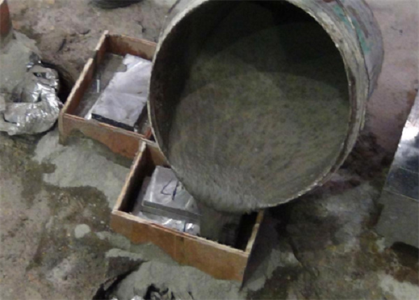  ���Ĺཬ��